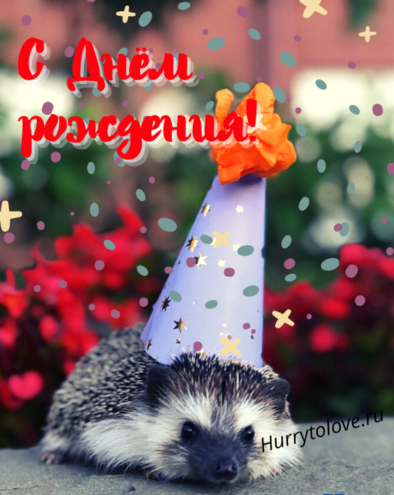 ИМЕНИННИКИ НЕДЕЛИ. По 5 октября